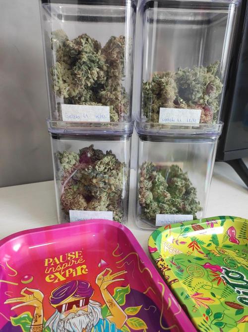 Gelato 41 #4. Week 14