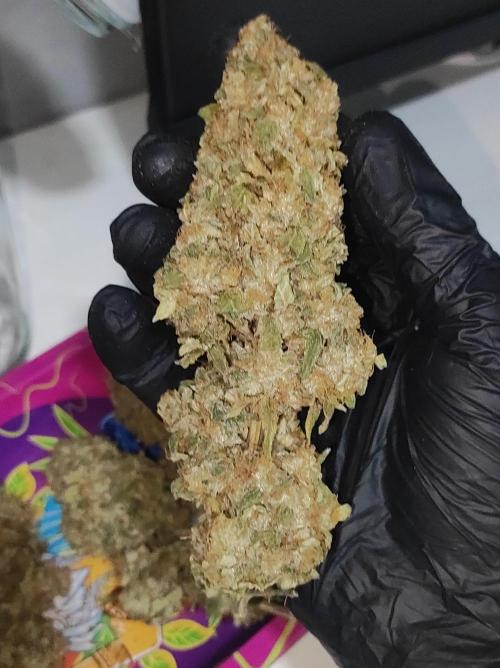 Lambeijax #Santa Maria. Week 13