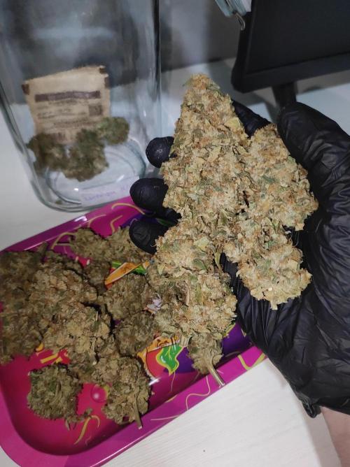 Lambeijax #Santa Maria. Week 13