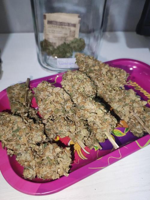 Lambeijax #Santa Maria. Week 13