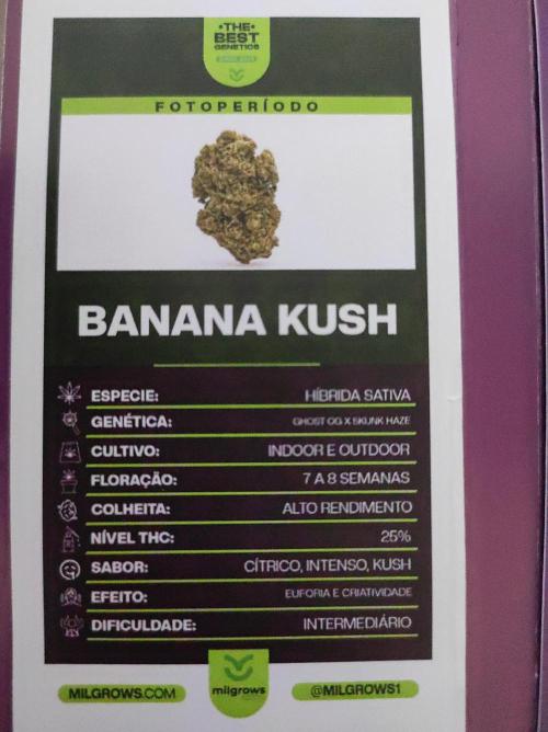 Banana Kush. Week 0