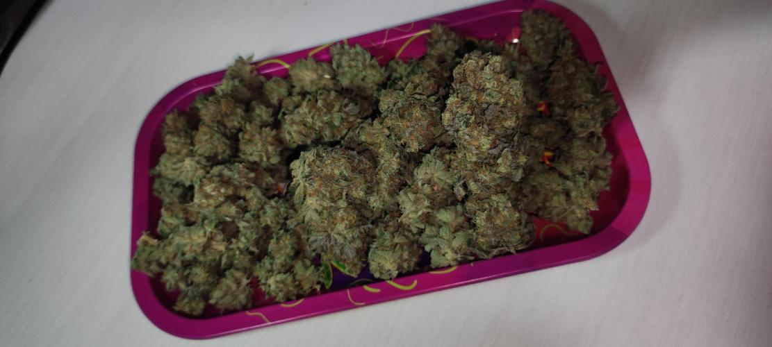 Godness Flower #2. Week 16