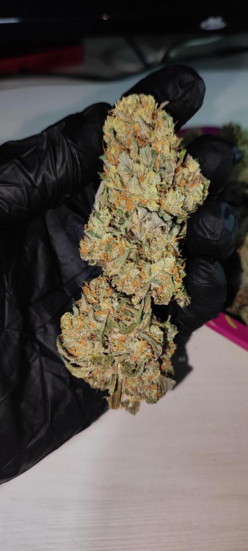 Godness Flower #2. Week 16