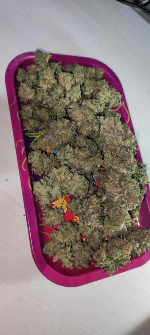 Godness Flower #2. Week 16