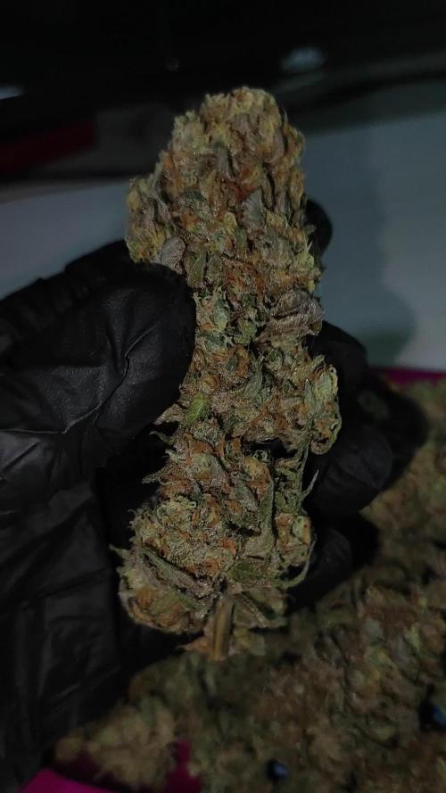 Godness Flower #2