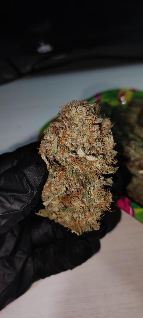 Godness Flower. Week 16