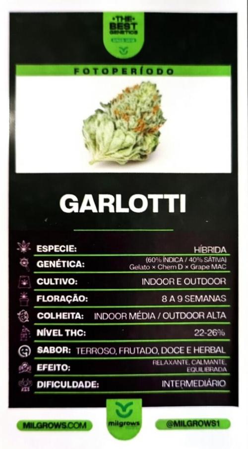 Garlotti. Week 0
