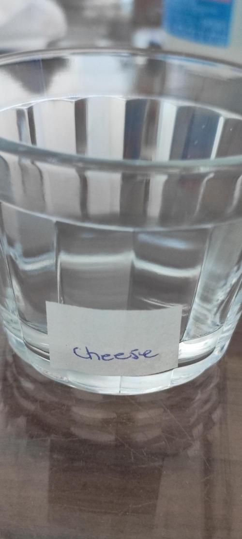 Cheese. Week 0