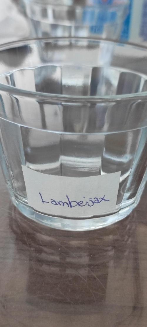 Lambeijax #3. Week 0