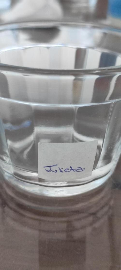 Julieta. Week 0