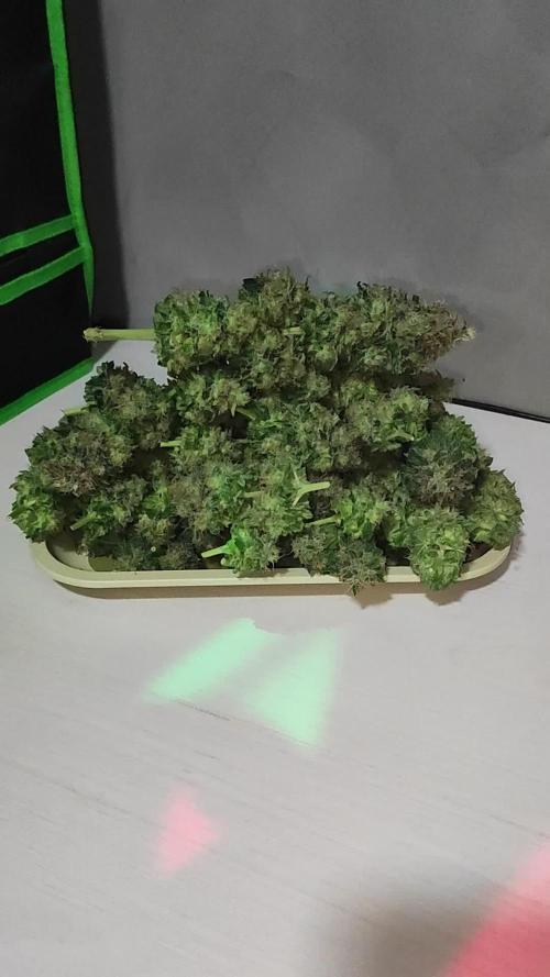 Zkittlez