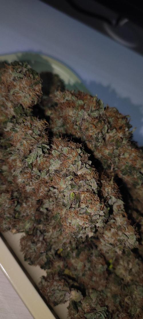 Zkittlez. Week 14