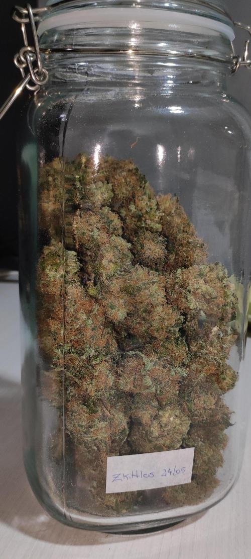 Zkittlez. Week 14