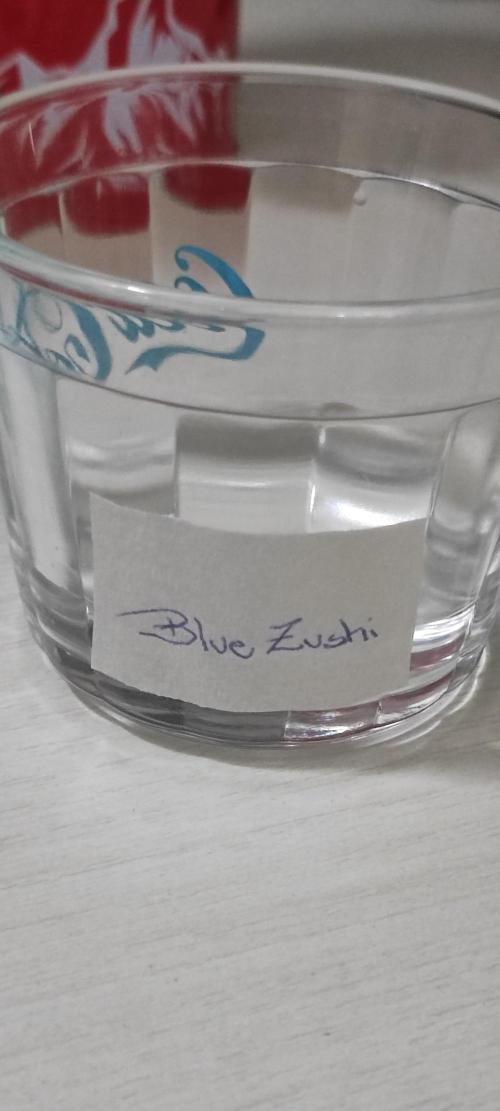 Blue Zushi. Week 0