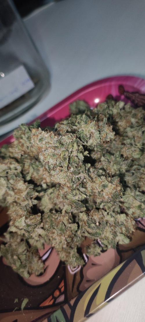 Strawberry Cough. Week 15