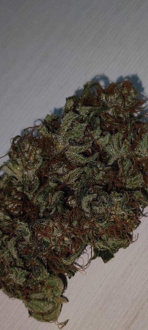 Sherbet. Week 14