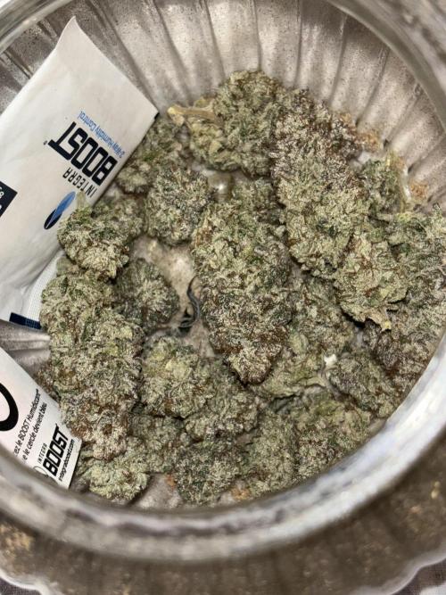 Lemon Cherry Gelato. Week 17