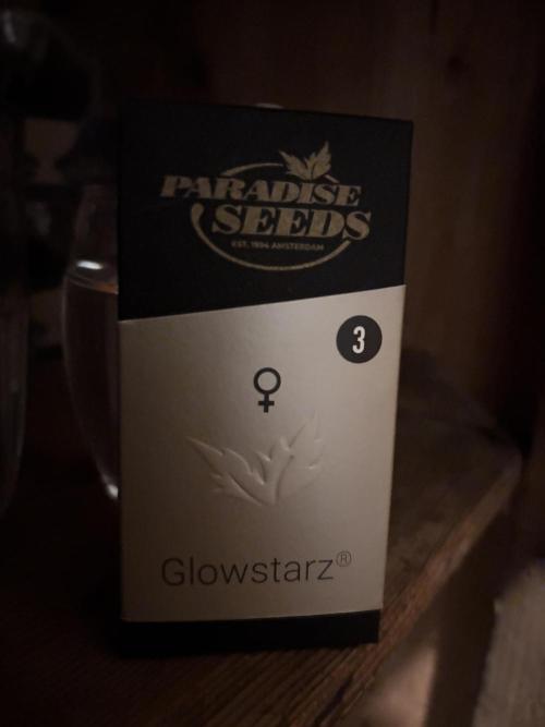 Glowstarz. Week 0