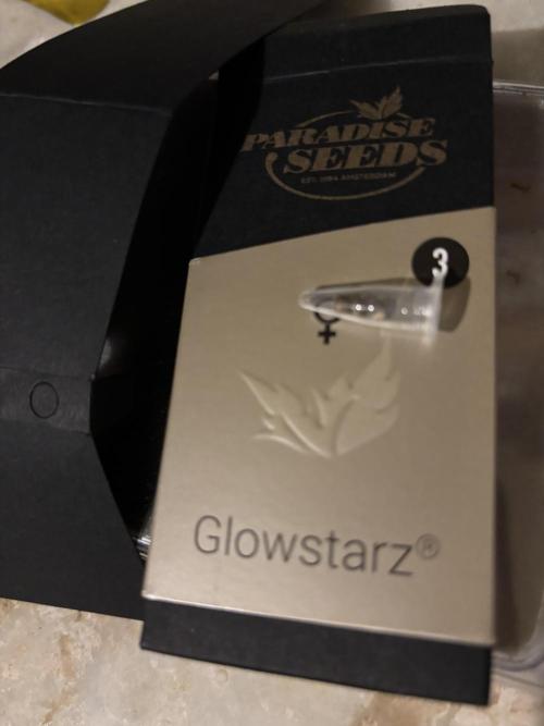 Glowstarz. Week 0