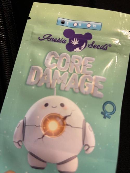 Core Damage. Week 0