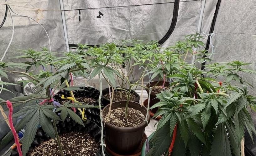 Core Damage. Week 7