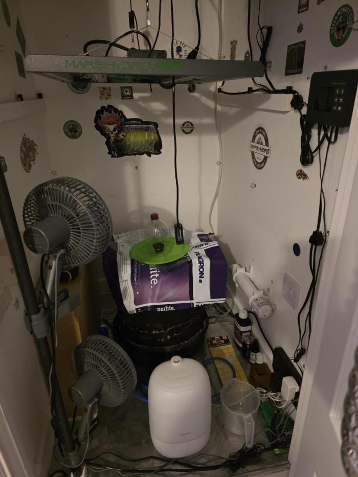 Planet of the Grapes. Week 0