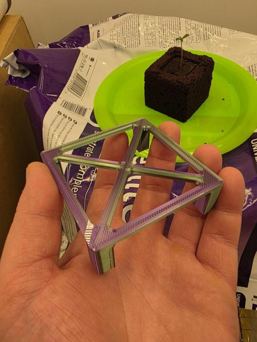 Planet of the Grapes. Week 1