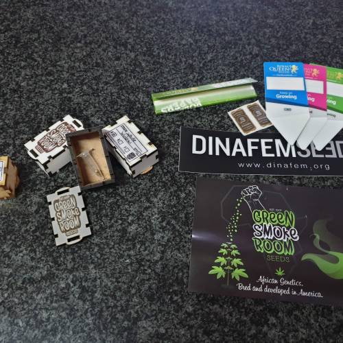 Cartboard Auto Grow. Week 1