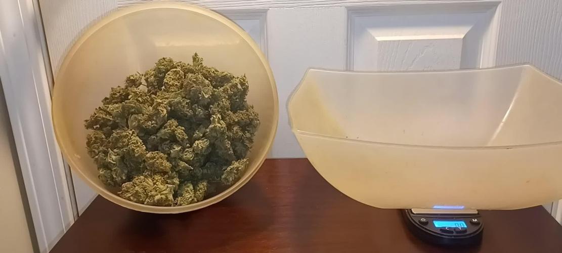Casey's Rollex OG. DutchFem 