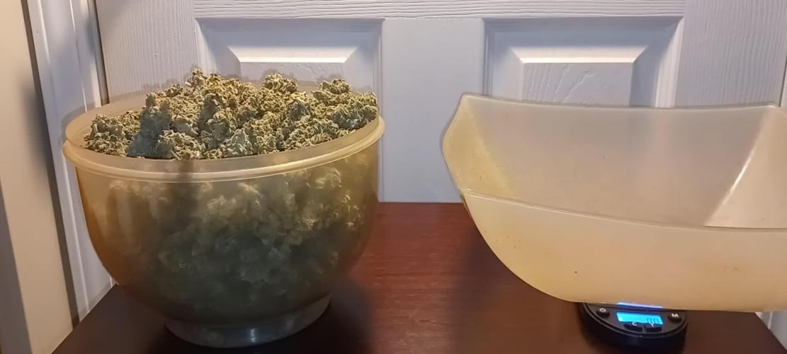 Northern lights Divine Seeds Pro mix HP grow bag