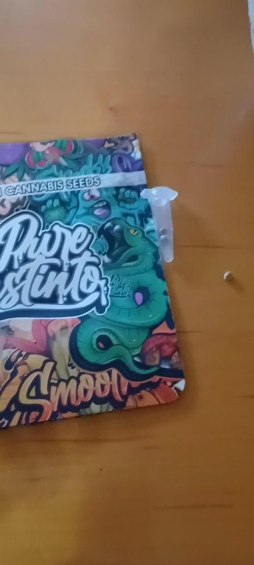 Melon Gum Pure Instinto