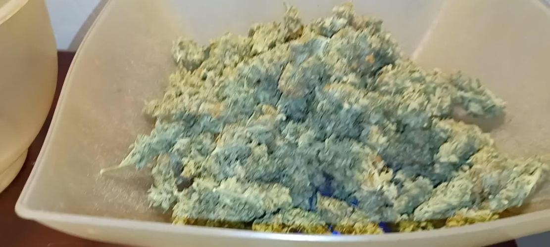 Strawberry Amnesia Herbies Seeds