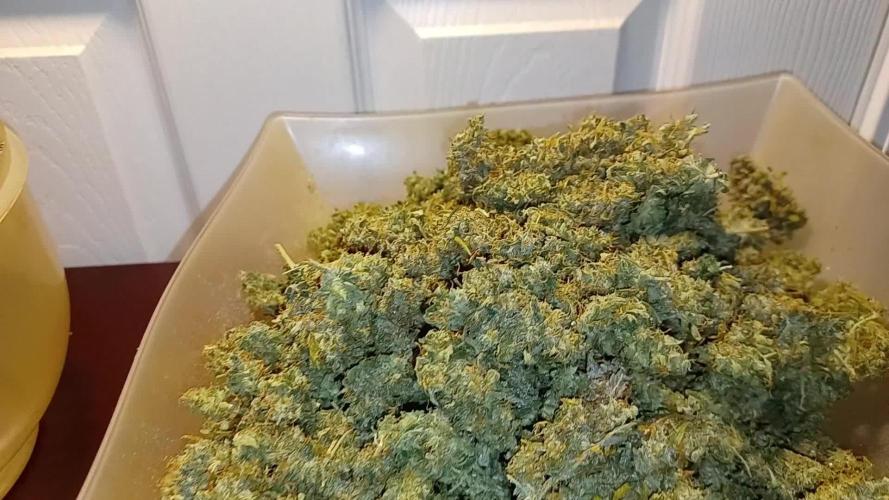 Grape Octane Auto ILGM