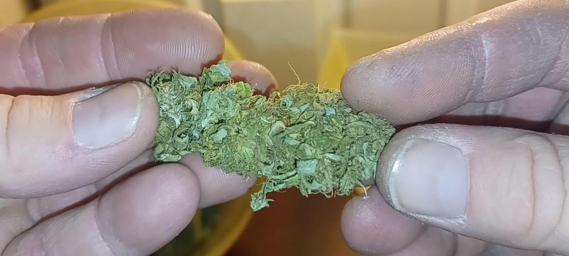 Melon Gum Pure Instinto