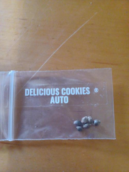 Delicious Cookies Delicious Seeds. Week 0 - Seed package 