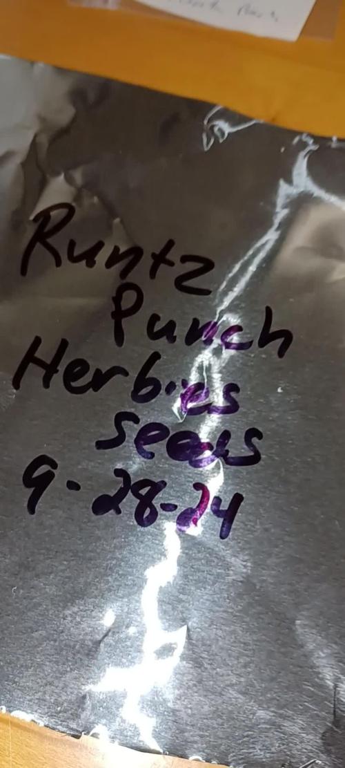 Runtz Punch Herbies Seeds 