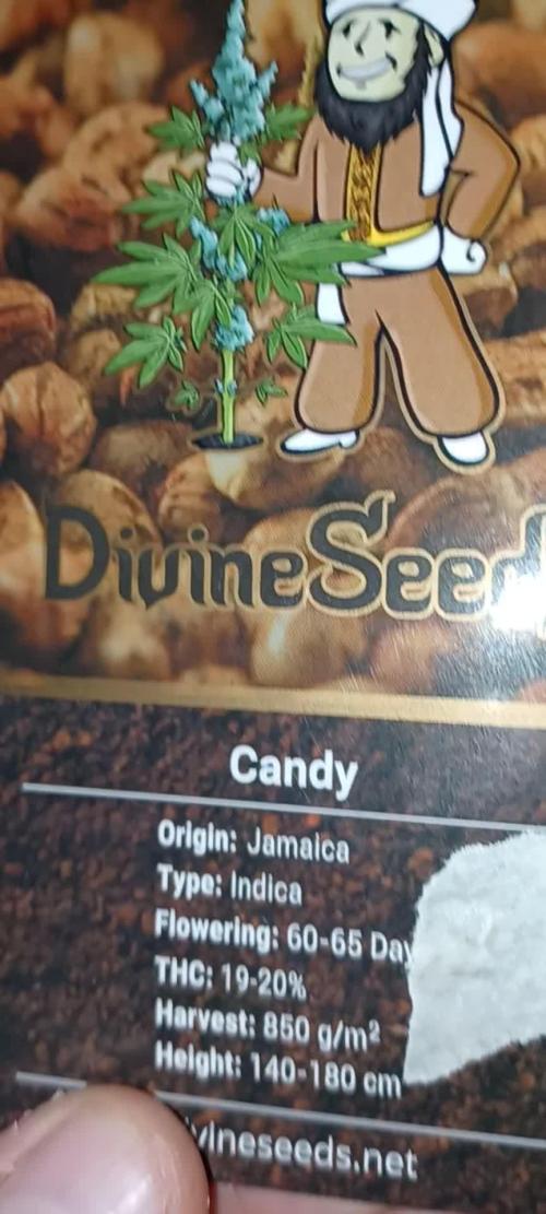 Candy from Divine Seeds