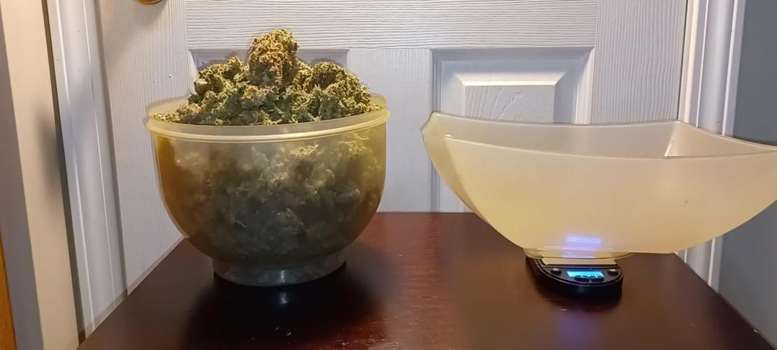 Auto Opium Divine seeds