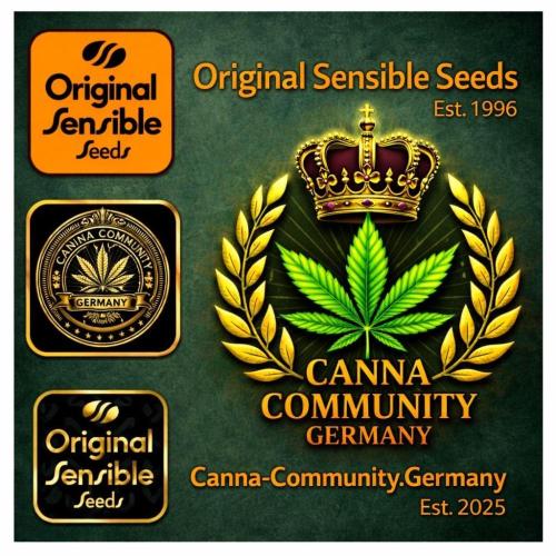 C.C.G / O.S.S Grow Event Citrus Slurp. Week 1