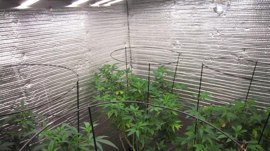 Best Clones... Showing off my...