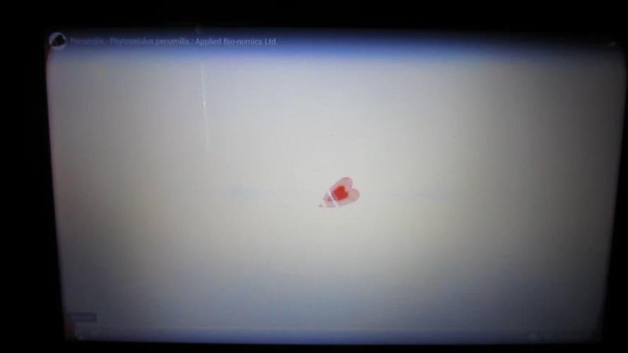 Best Clones... Showing off my...