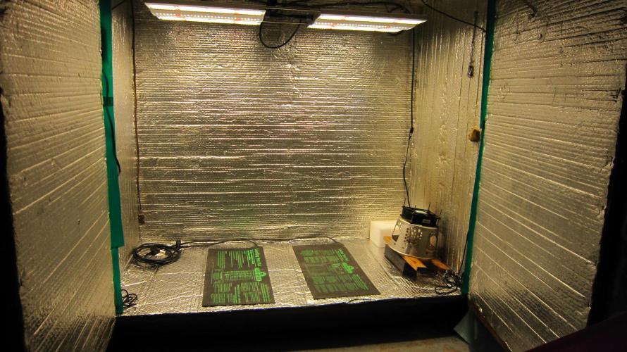 Best Clones... Showing off my.... Week 4 - Getting the cloning cupboard ready.