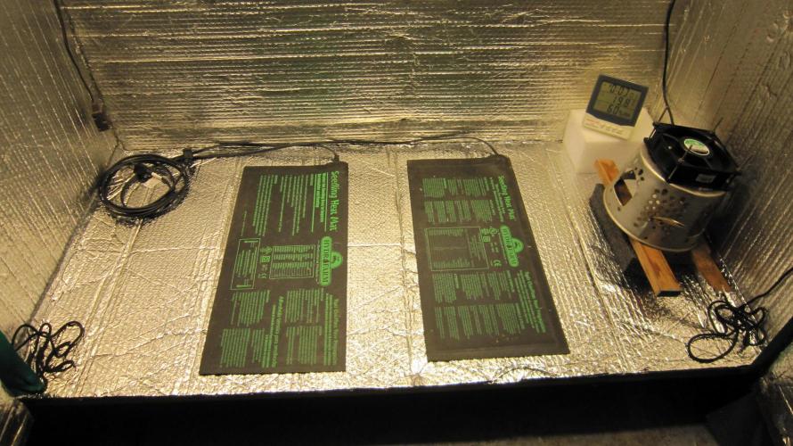 Best Clones... Showing off my.... Week 4 - Got a new reflective floor. Old.. car... window.. sun screen.