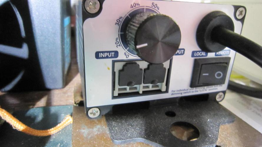 Best Clones... Showing off my.... Week 4 - Got the light on 20%