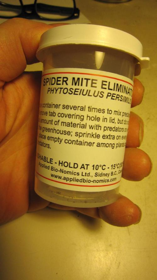 Best Clones... Showing off my.... Week 4 - Got some of these.