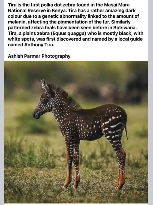 Best Clones... Showing off my.... Week 4 - Ahhh... Cute