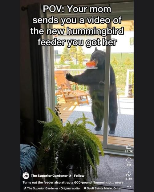 Gelatdos Jabb... My crossing.. Week 3 - Mmmm... Yummy...