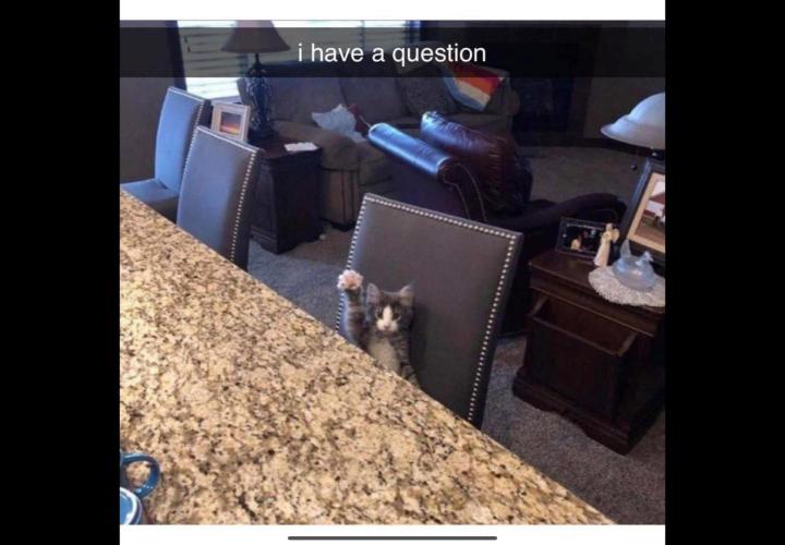 🍋 Lemon 🍊 Mandarin 😎 🤗 🤩. Week 4