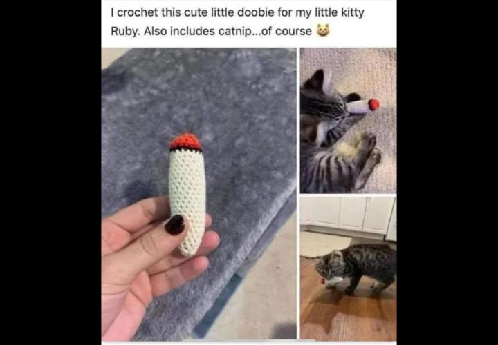 🍋 Lemon 🍊 Mandarin 😎 🤗 🤩. Week 4