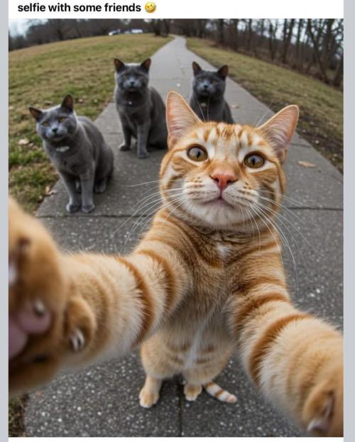 💪🔥⚡ Hulk OG - by IZI. Week 4 - Selfie.... Me and the Bros.